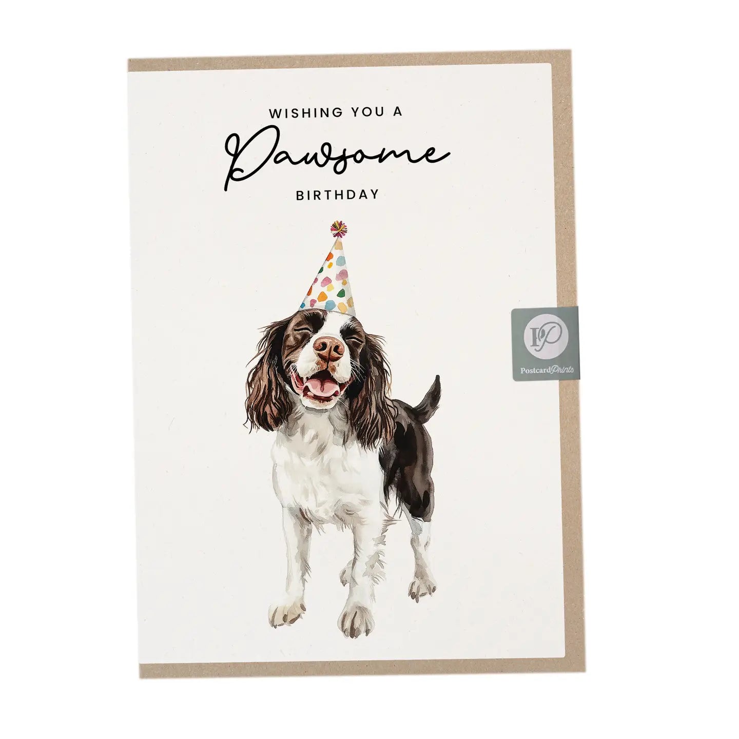 Springer Spaniel Birthday Card
