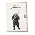 Cocker Spaniel Birthday Card – Party Hat