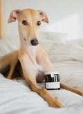 Sunshine Snoozes - Pet Friendly Candle