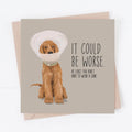 Get Well Soon Dog Card