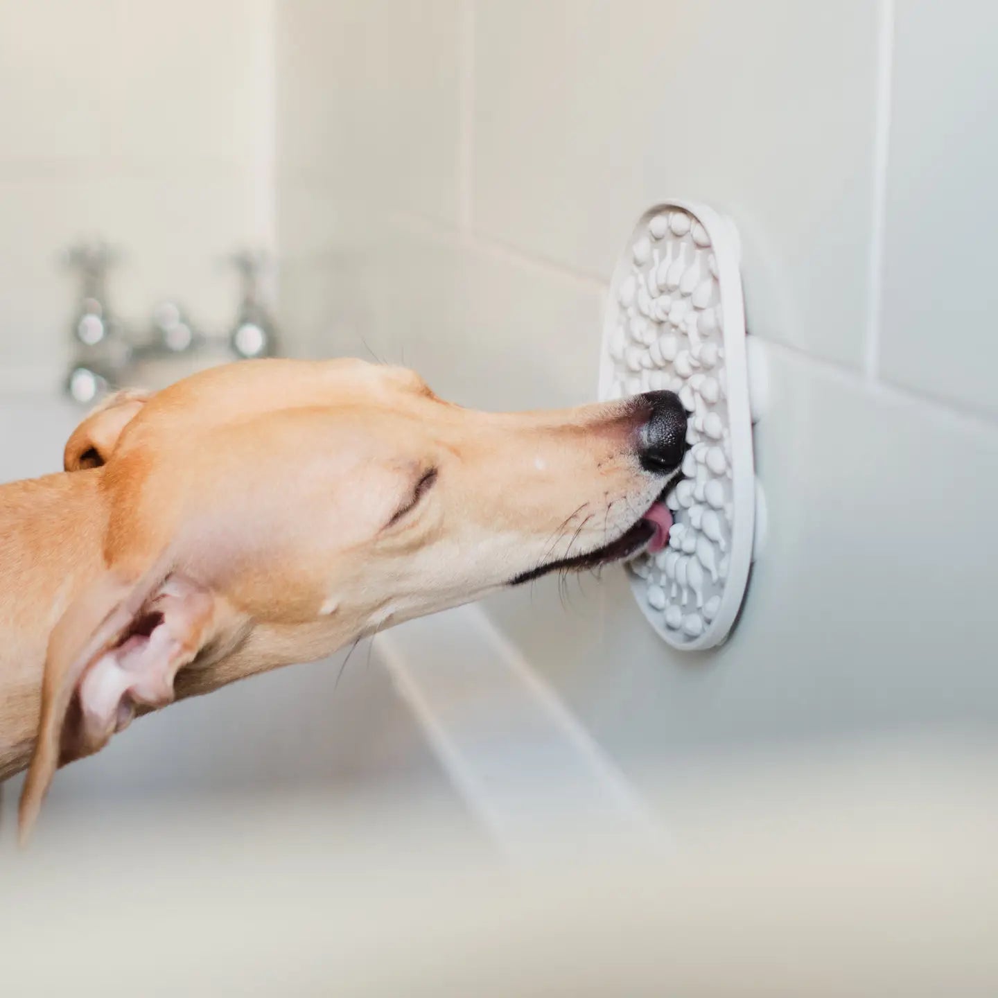 Bathtime Buddy Lickmat