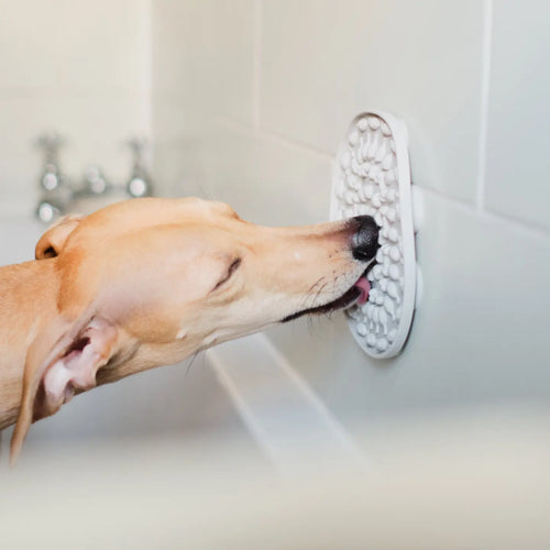 Bathtime Buddy Lickmat