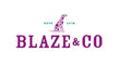 Translation missing: en.Blaze&amp;Co accessibility.home
