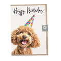Funny Poodle Birthday Card