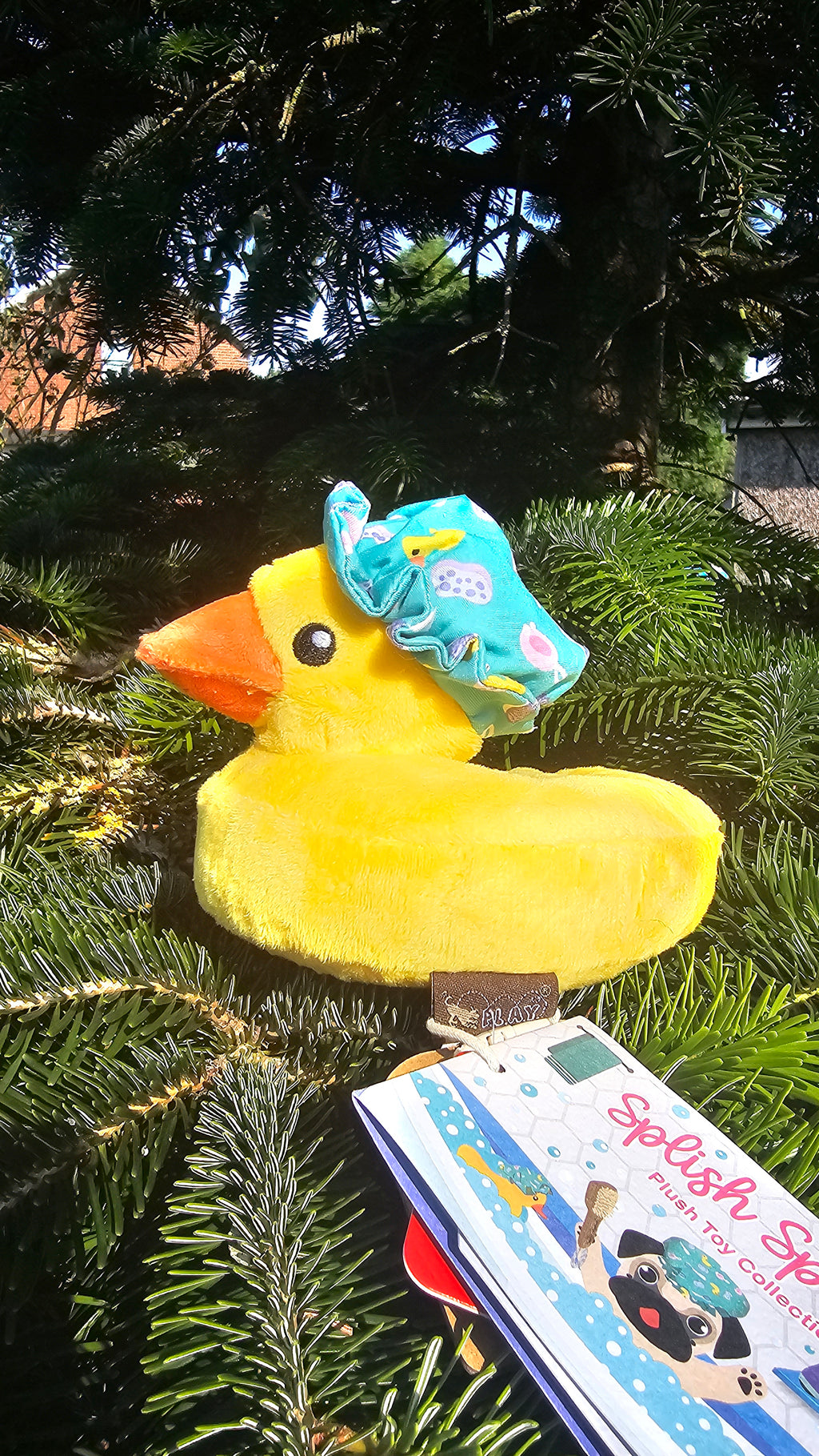 Bubbles the duck