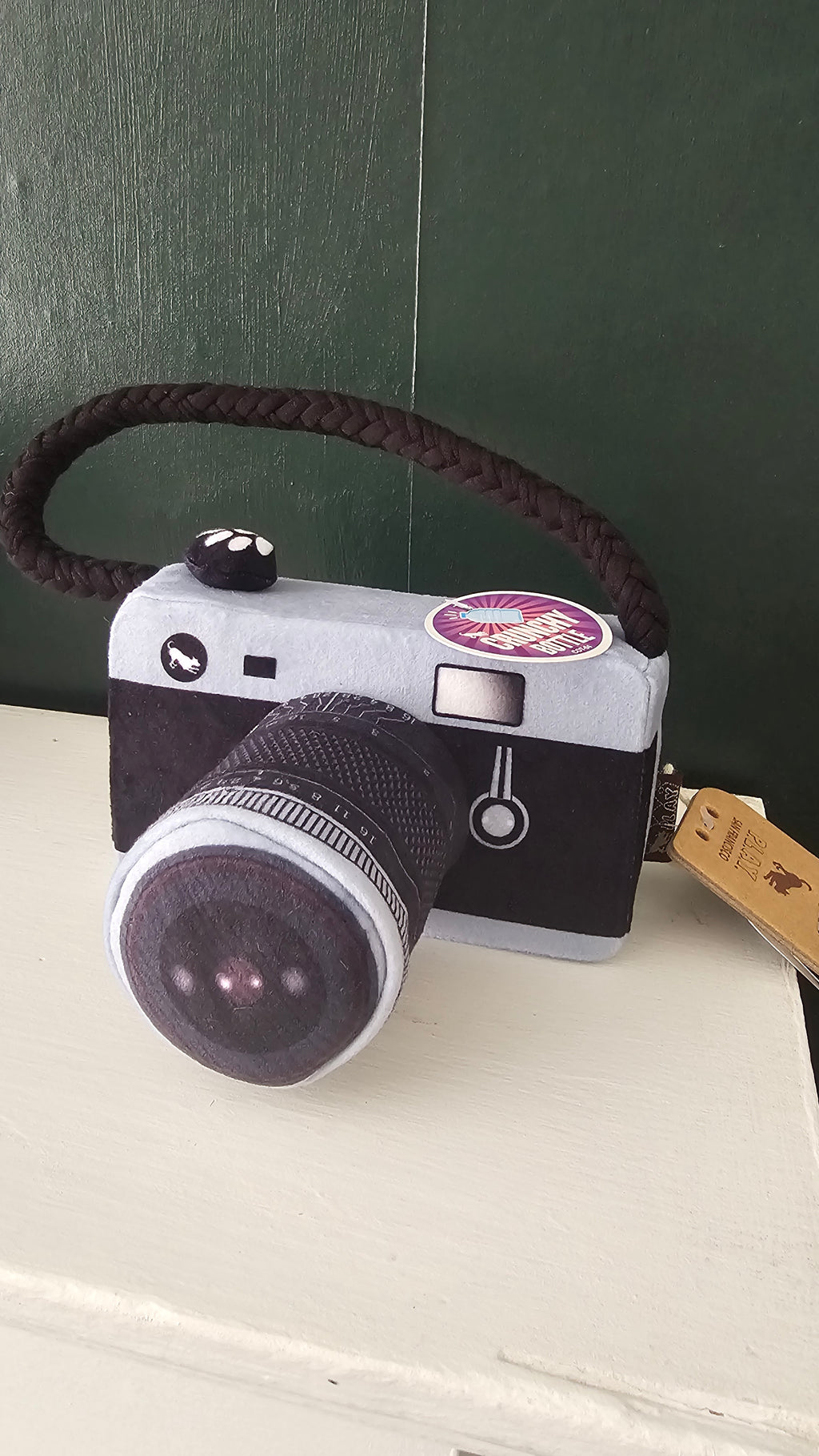 Lens licker camera