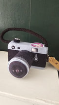 Lens licker camera