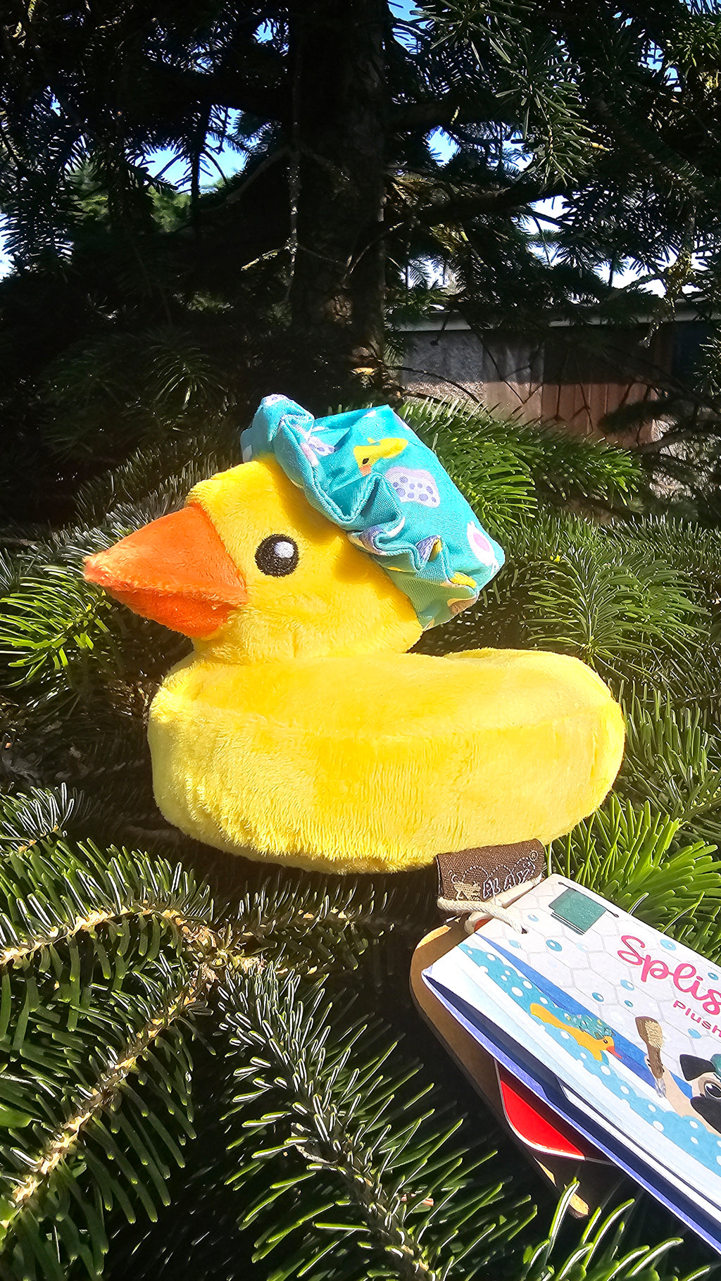 Bubbles the duck