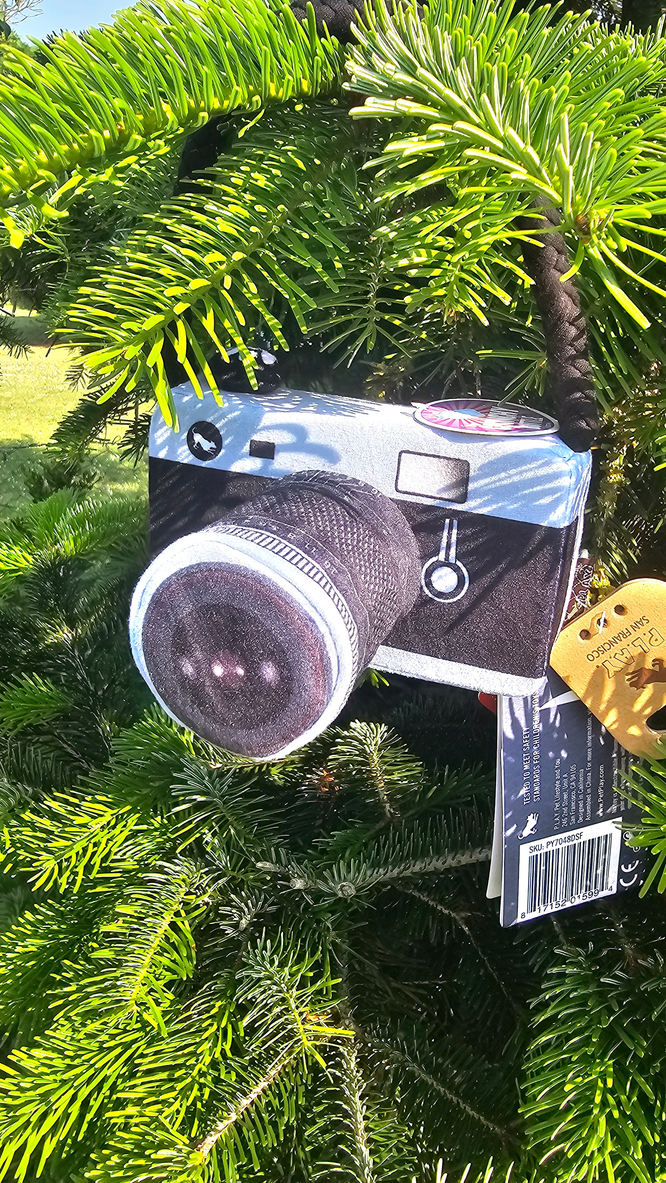 Lens licker camera