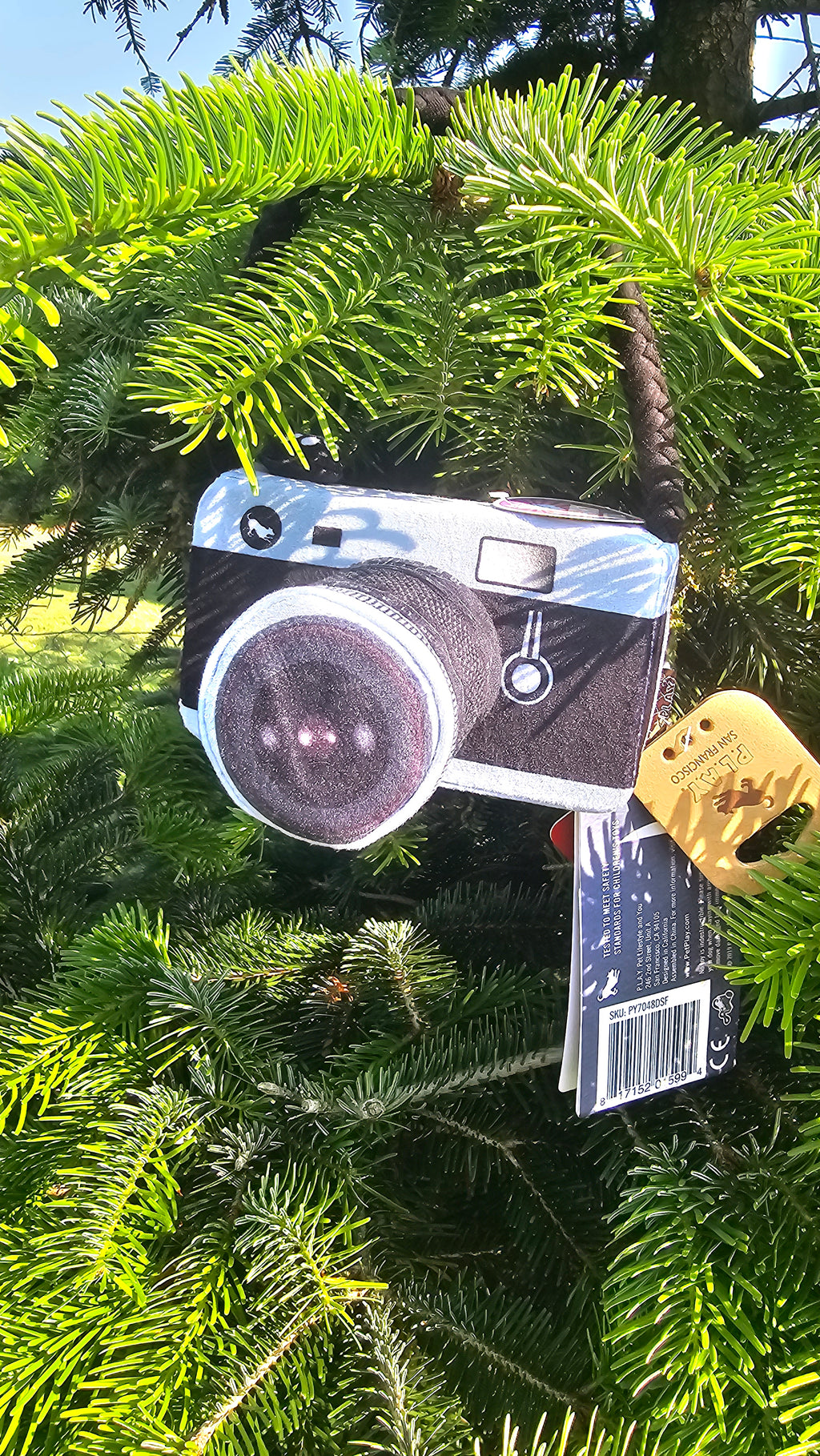 Lens licker camera