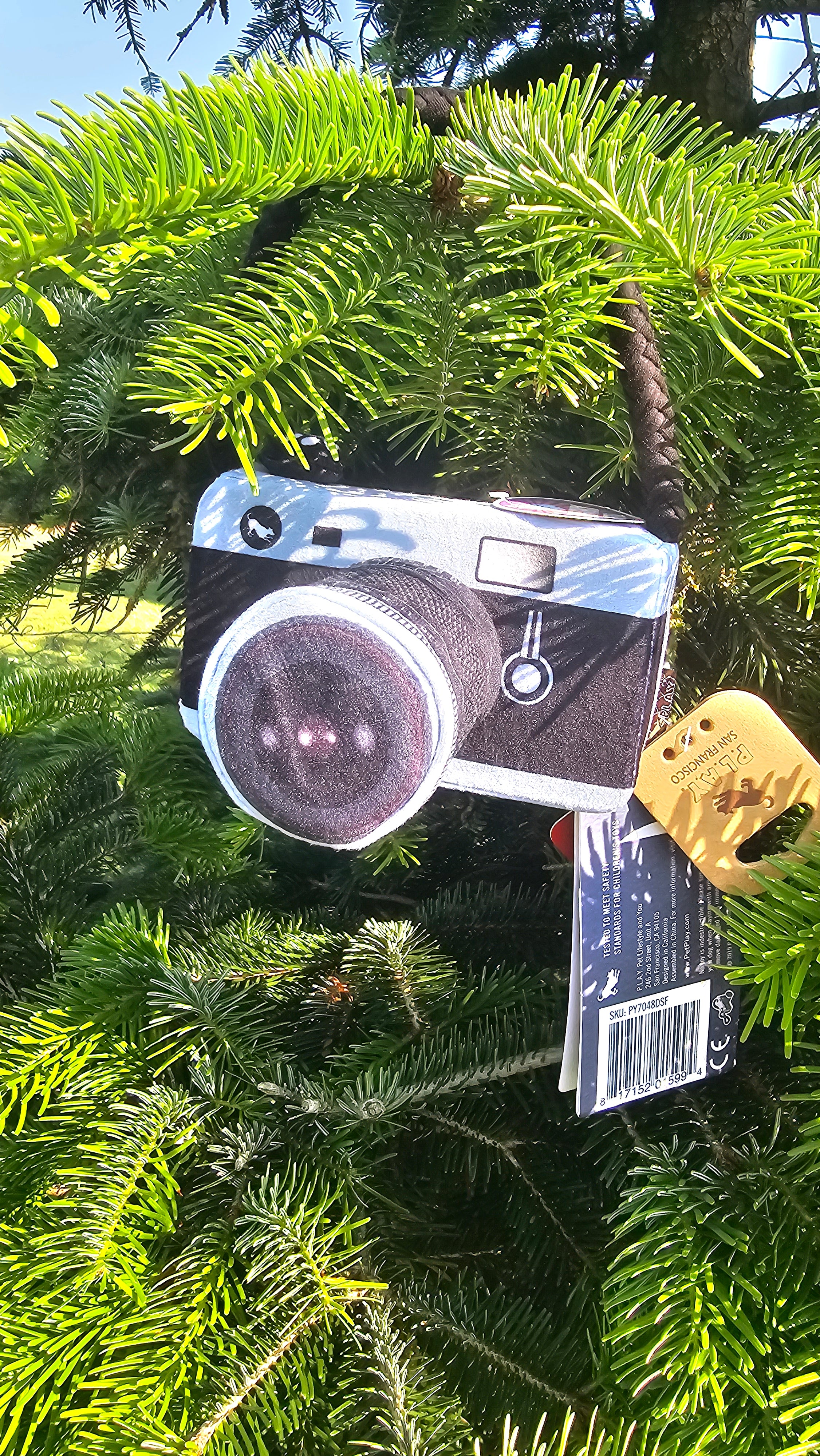 Lens licker camera