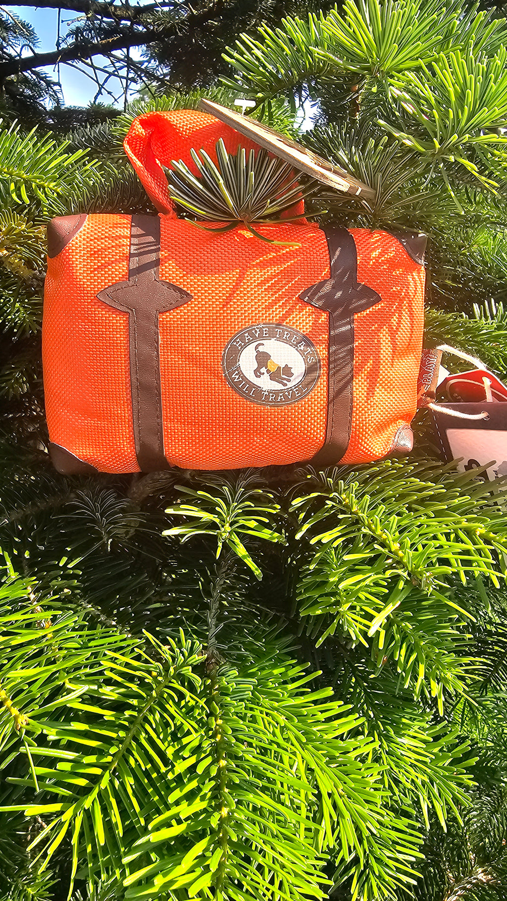 Pack and snack suitcase