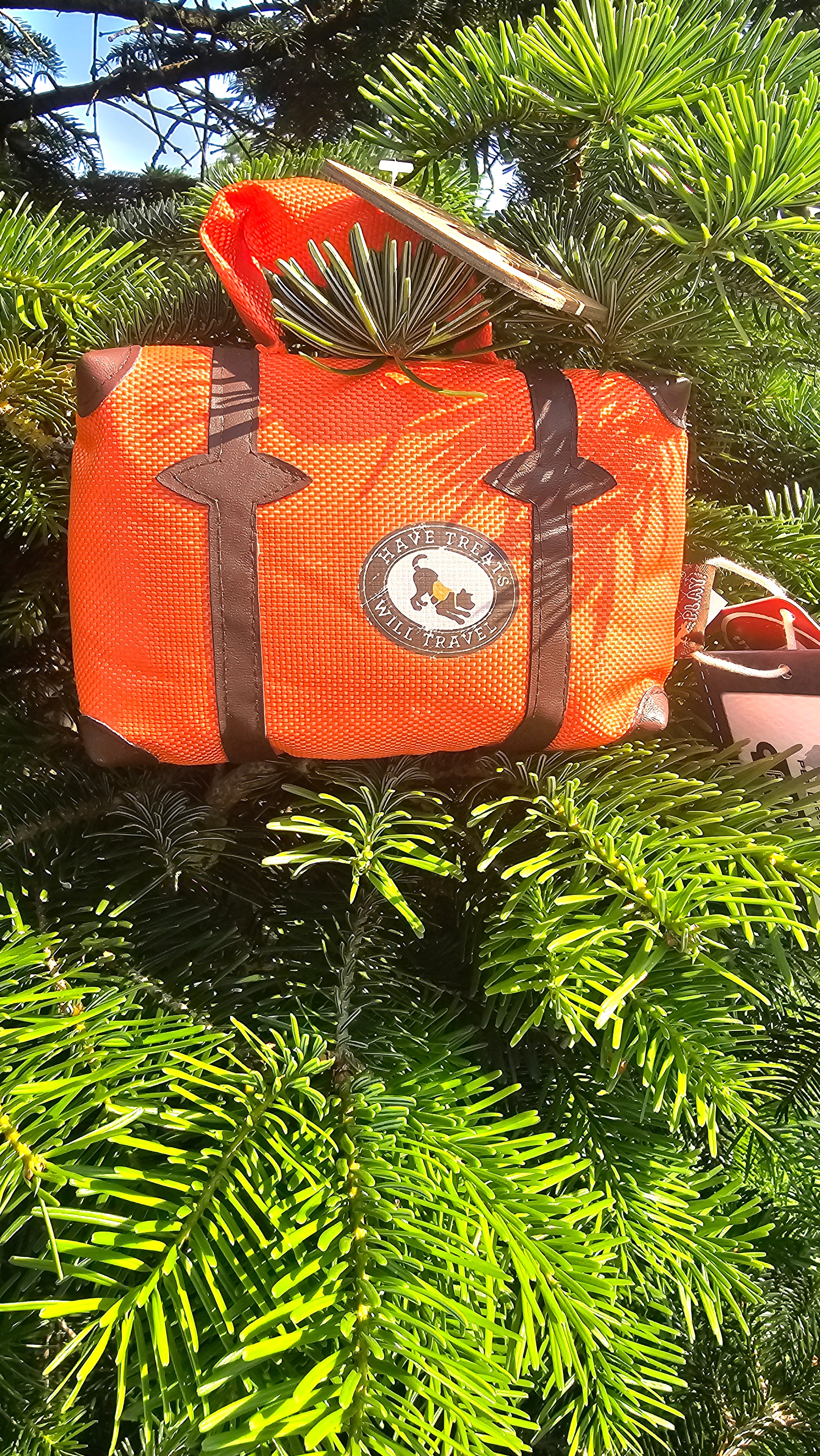 Pack and snack suitcase