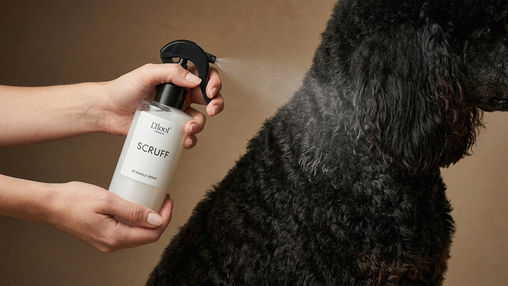 SCRUFF : Orange & Cedarwood Detangle Spray