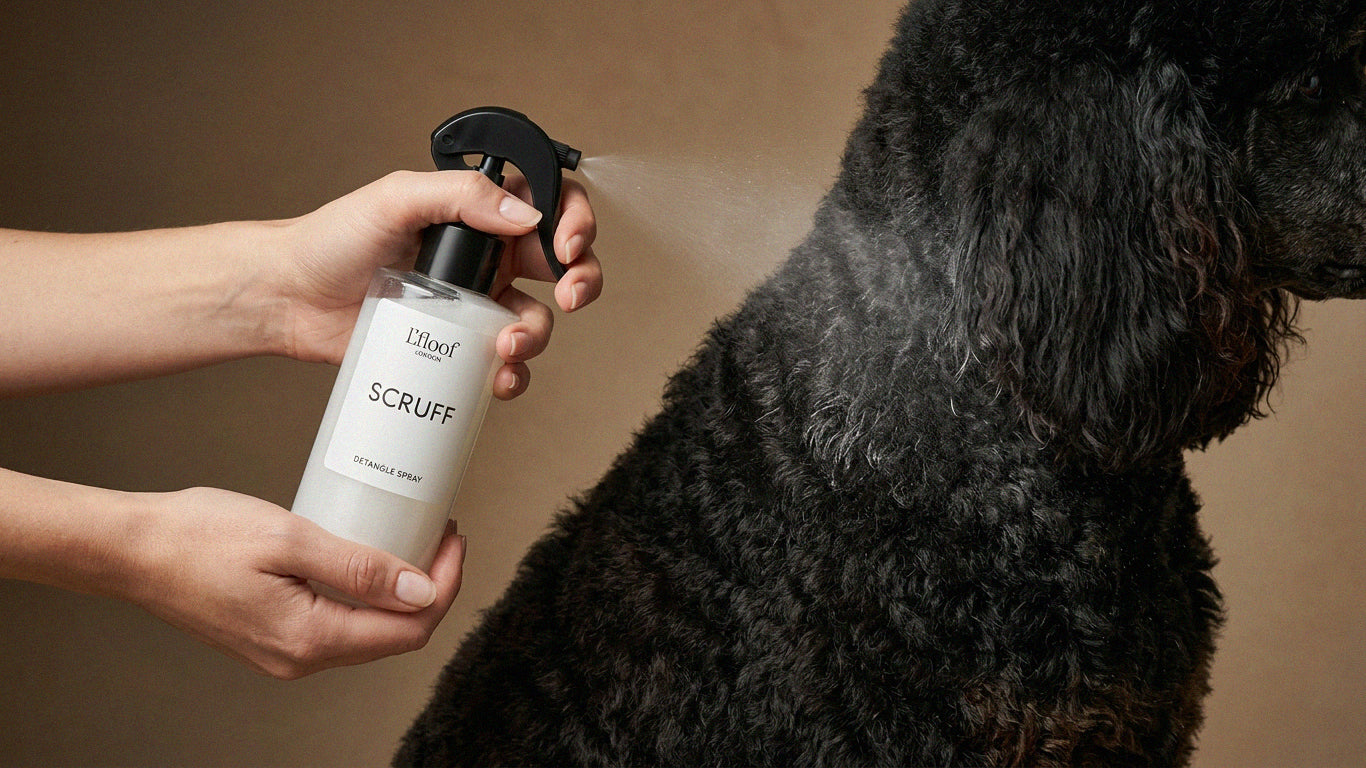 SCRUFF : Orange & Cedarwood Detangle Spray